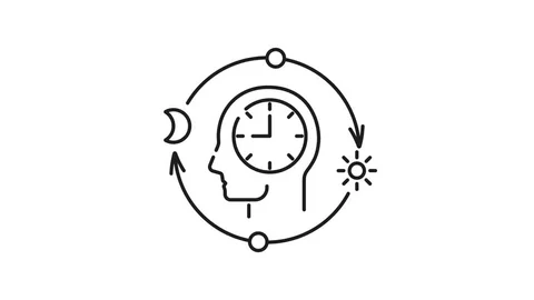 Circular illustration showing icons representing energy, focus, balance, rhythm, routine, and habits arranged around a central wellness concept
